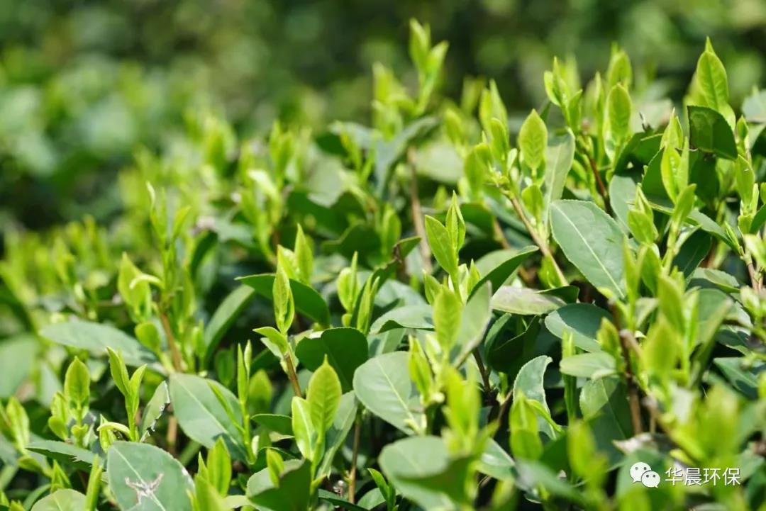 未來(lái)水站——集成膜一體化凈水裝置(圖9)