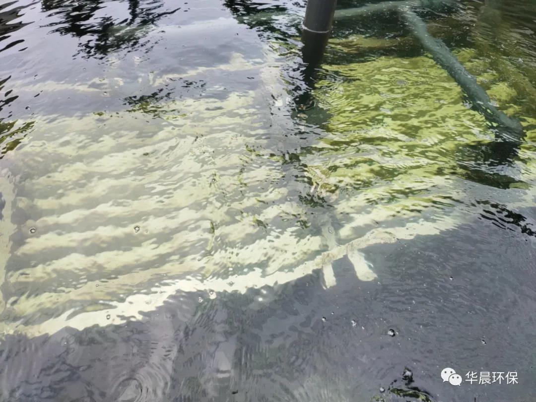 我們用雙手捧著“未來”(圖3) 我們用雙手捧著“未來”(圖3)